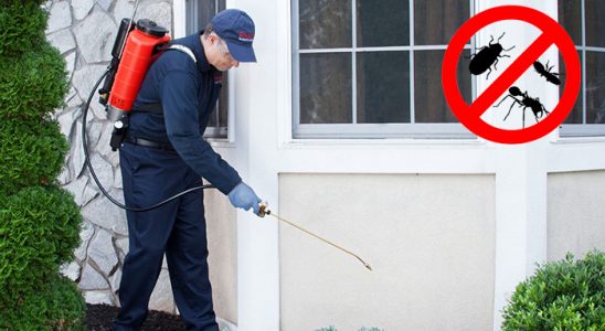 Mithatpaşa Karınca İlaçlama böcek ilaçlama ve haşere kontrolü — ilaclama-tr.com
